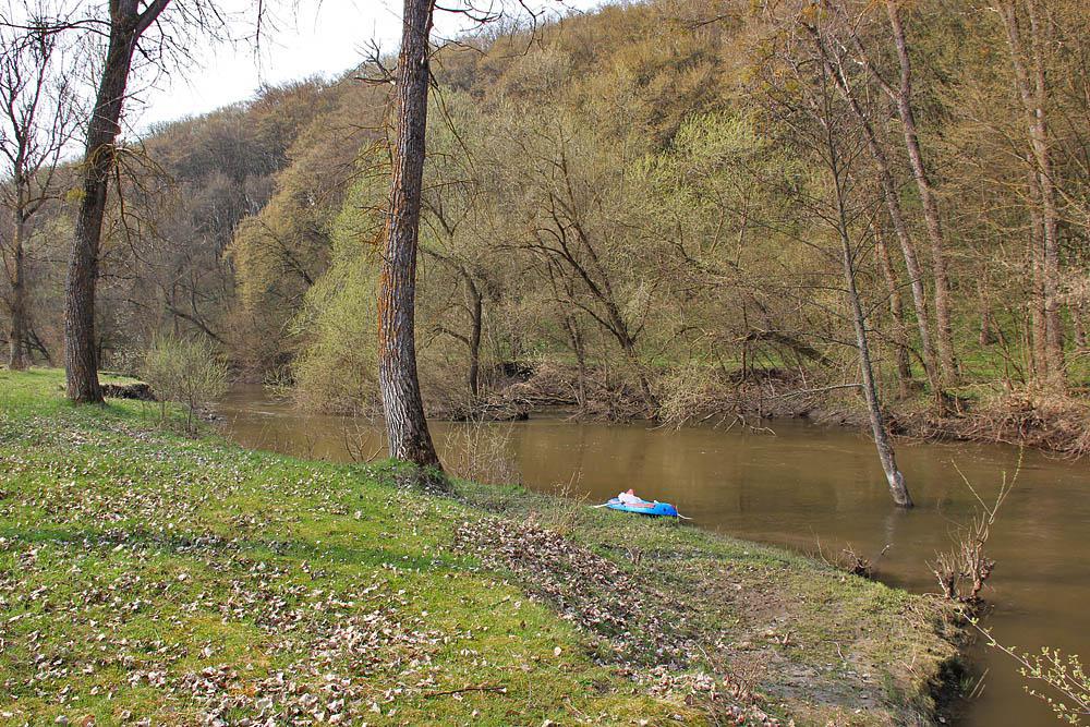 post-21429-0-81381400-1367142420_thumb.j