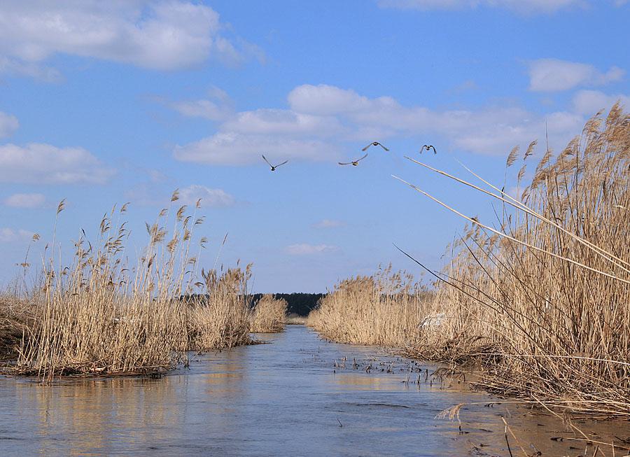 post-21429-0-81818300-1365443040_thumb.j