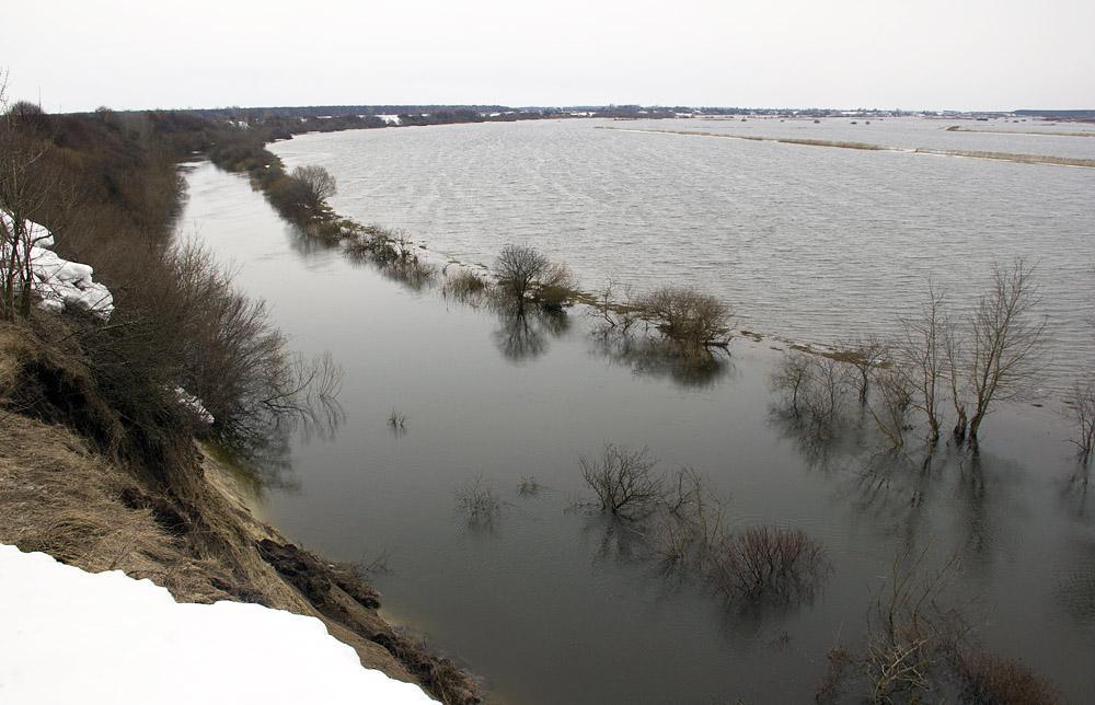 post-21429-0-82801900-1365592168_thumb.j