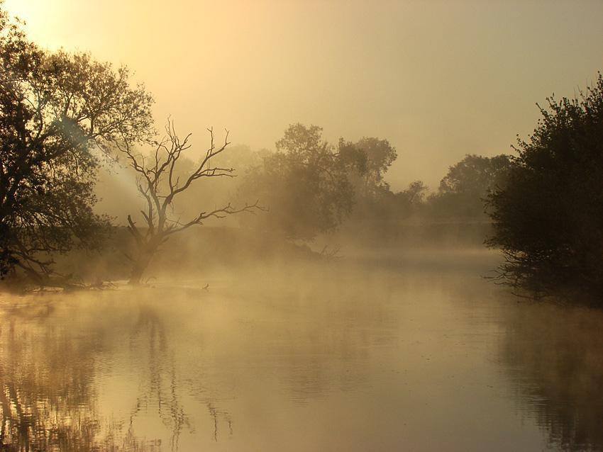 post-21429-0-83919200-1364985515_thumb.j