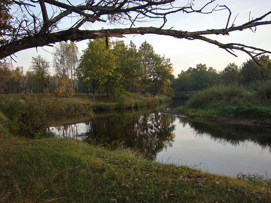 post-21429-0-84230200-1366303425_thumb.j