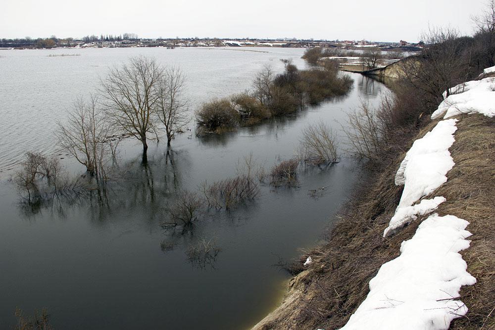 post-21429-0-85078500-1365592177_thumb.j