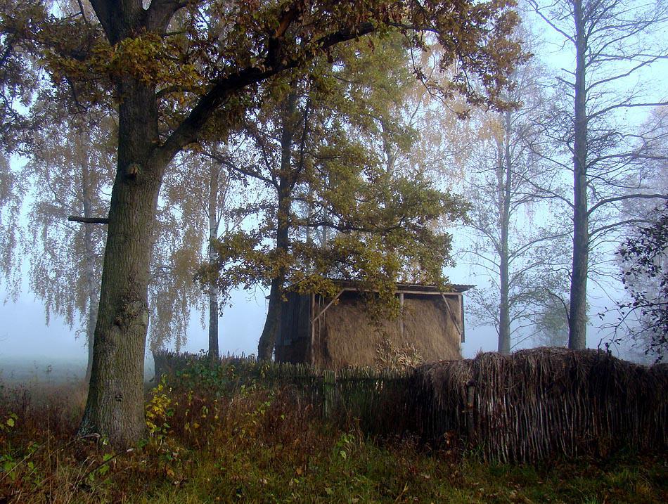 post-21429-0-85798800-1365317497_thumb.j