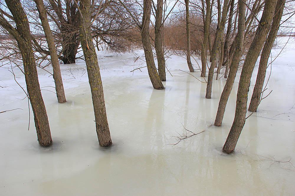 post-21429-0-86239700-1365059141_thumb.j