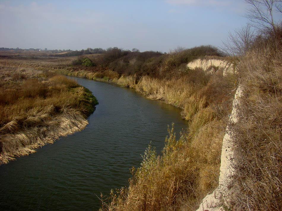 post-21429-0-87068700-1364900079_thumb.j