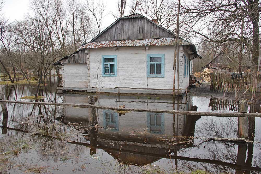 post-21429-0-93452200-1366054416_thumb.j