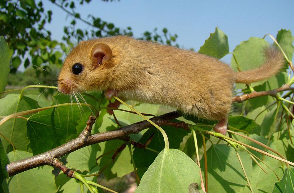 post-21429-0-96454800-1367171883_thumb.j