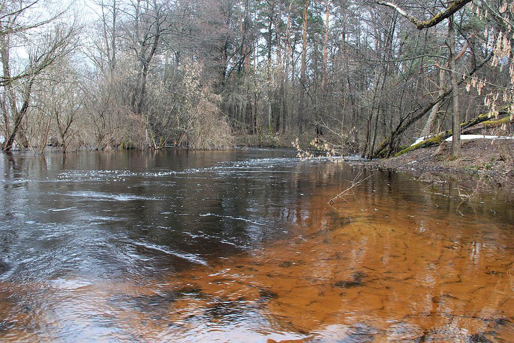 post-21429-0-98545000-1365782089_thumb.j