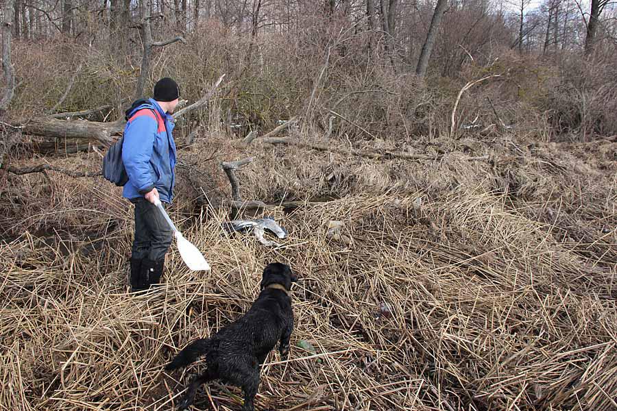 post-21429-0-98575000-1365442951_thumb.j