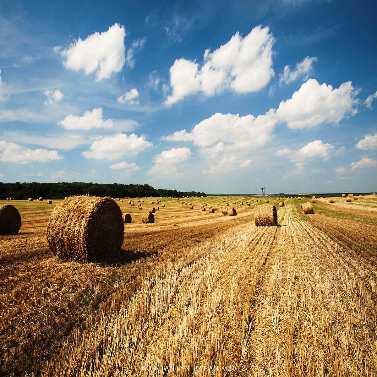 post-2373-0-64339600-1364978139_thumb.jp