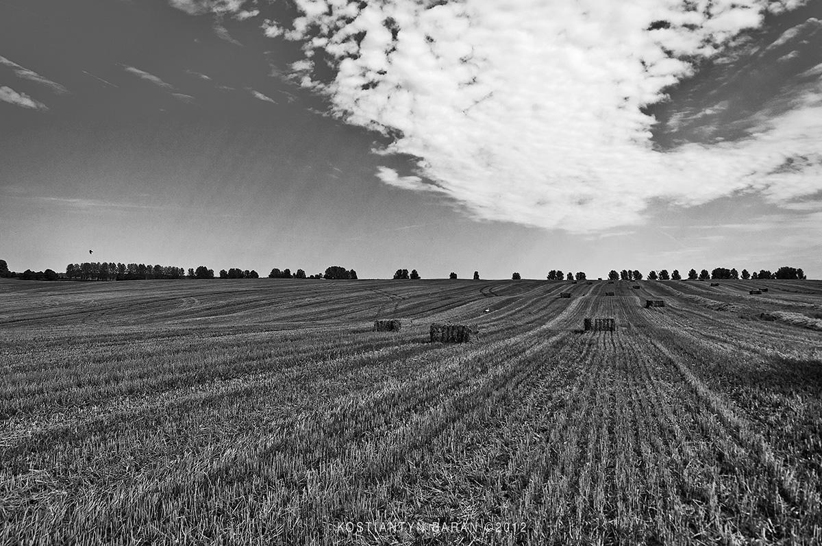 post-2373-0-84133400-1364976687_thumb.jp