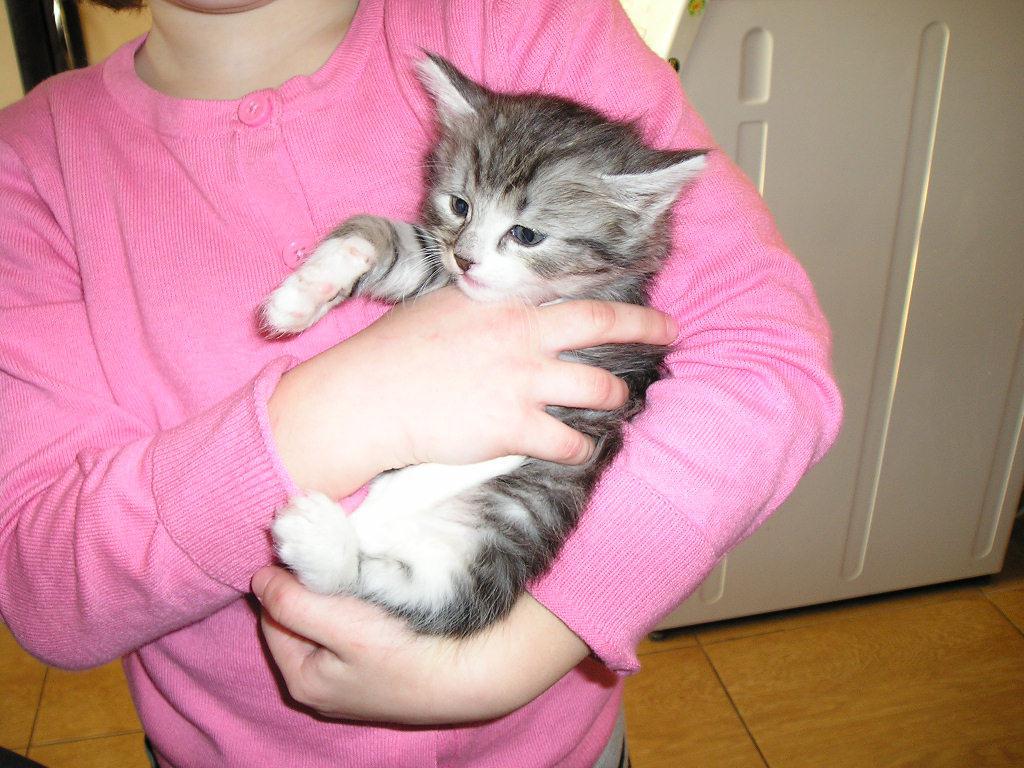 post-2742-0-14714900-1364844454_thumb.jp