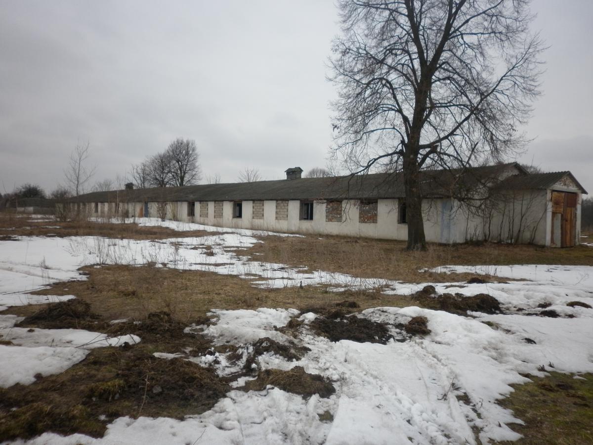 post-2984-0-55556800-1365674042_thumb.jp