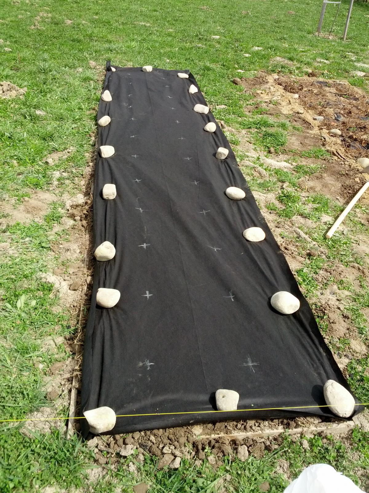 post-4263-0-17123300-1367091049_thumb.jp