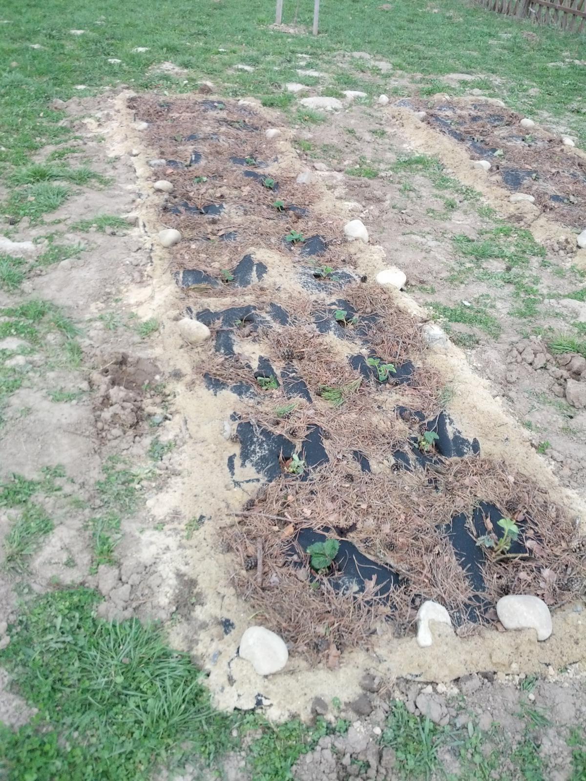 post-4263-0-17170900-1367091073_thumb.jp