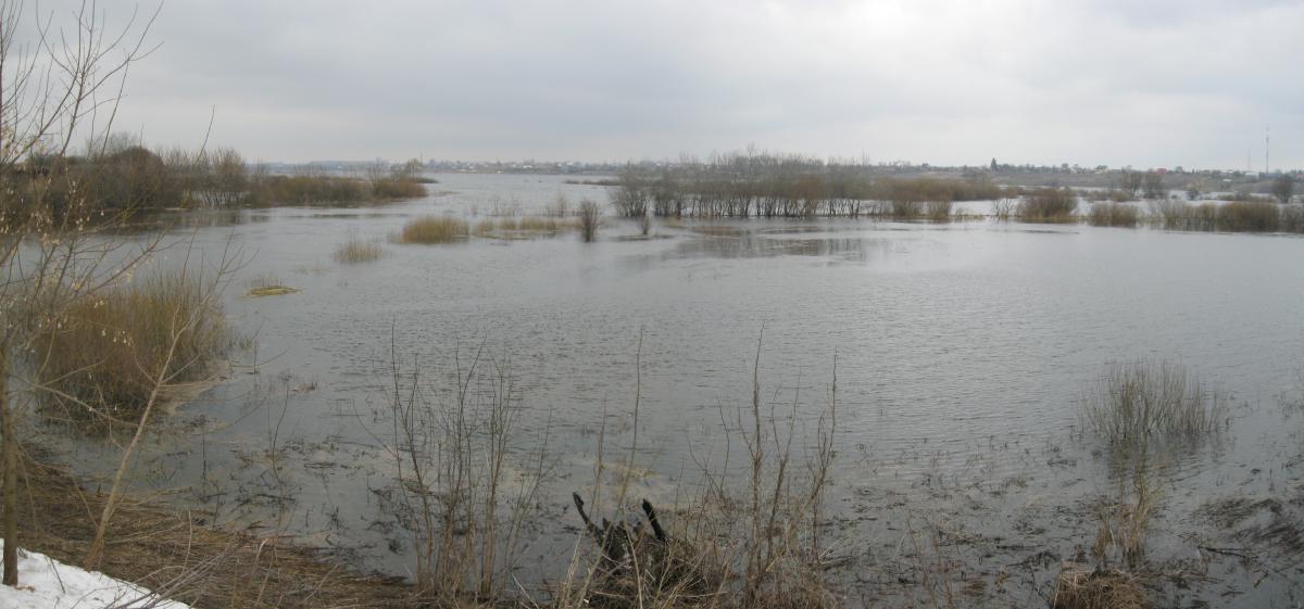 post-5212-0-31511200-1365971449_thumb.jp