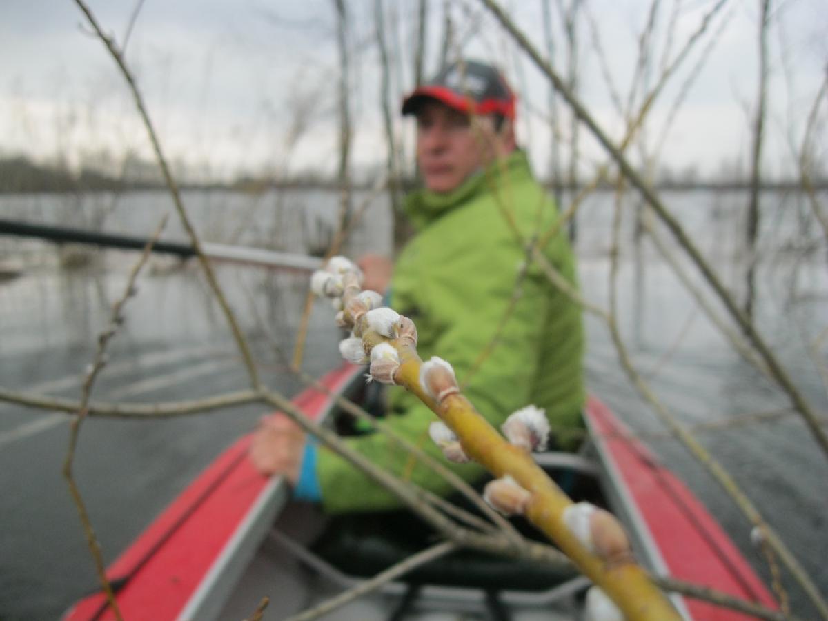 post-5212-0-76028300-1365971646_thumb.jp