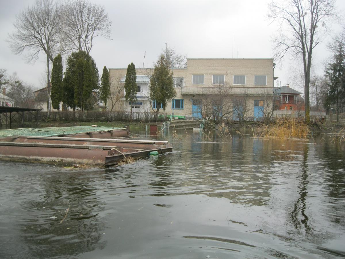 post-5212-0-89904400-1365971825_thumb.jp