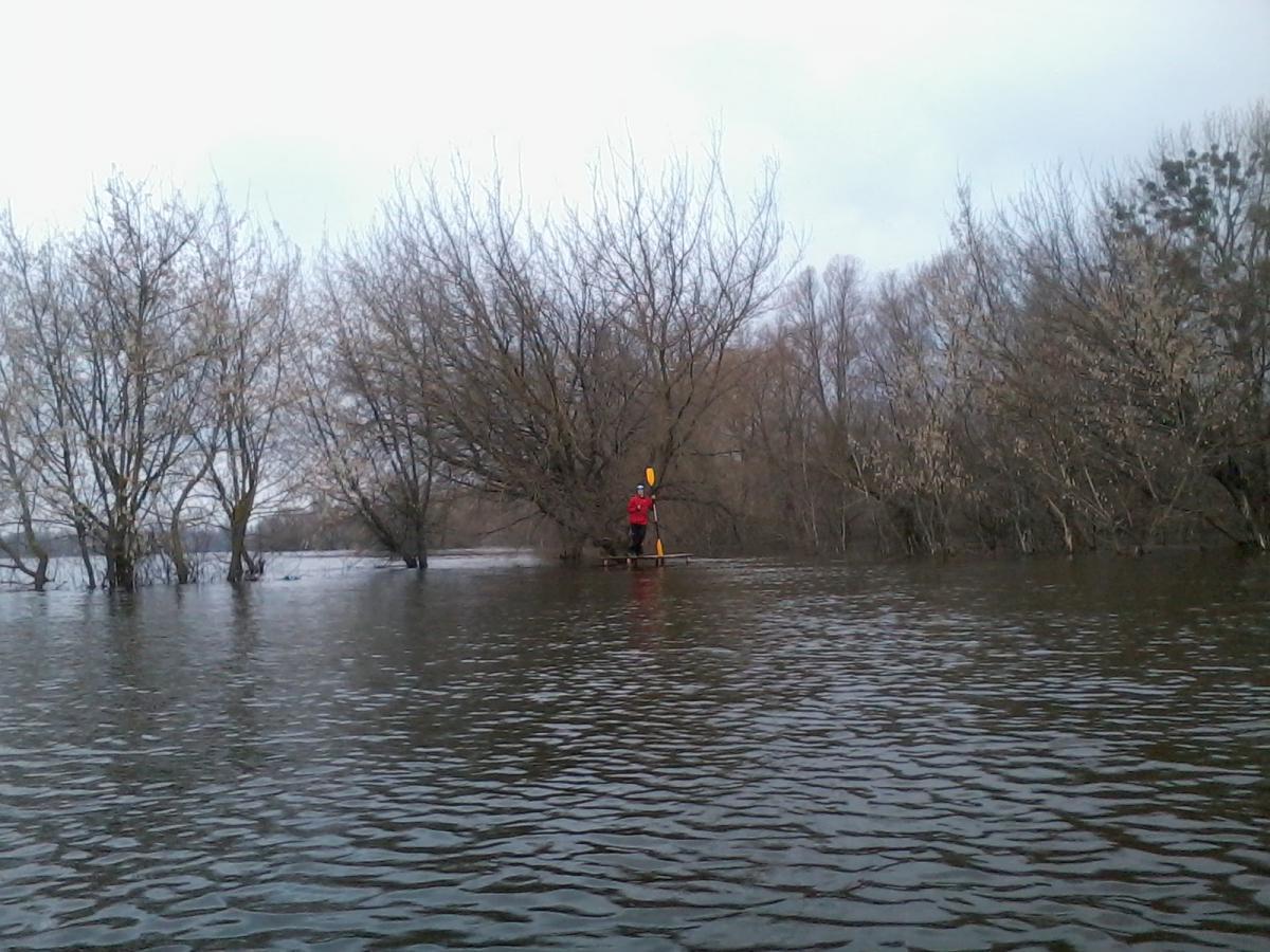 post-5212-0-91794300-1365972865_thumb.jp