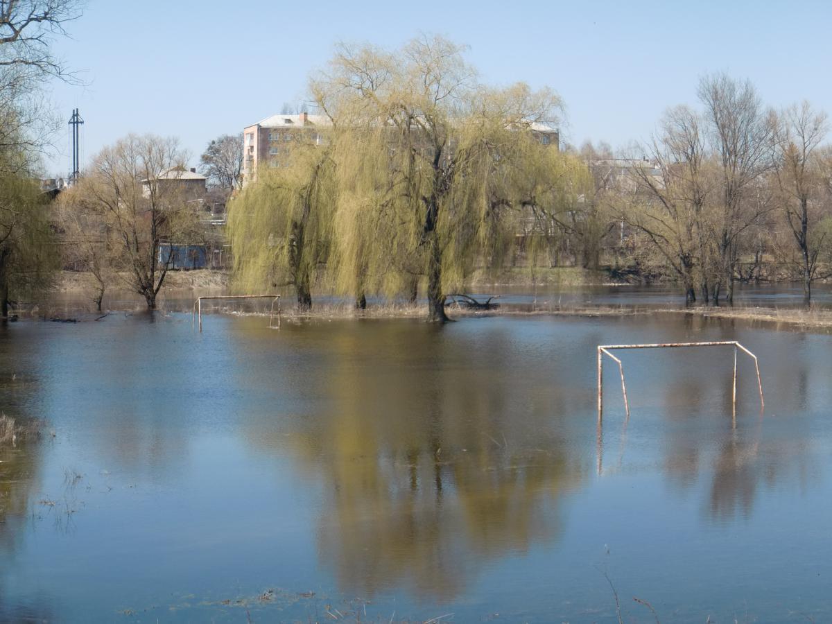 post-5279-0-57813700-1366641044_thumb.jp