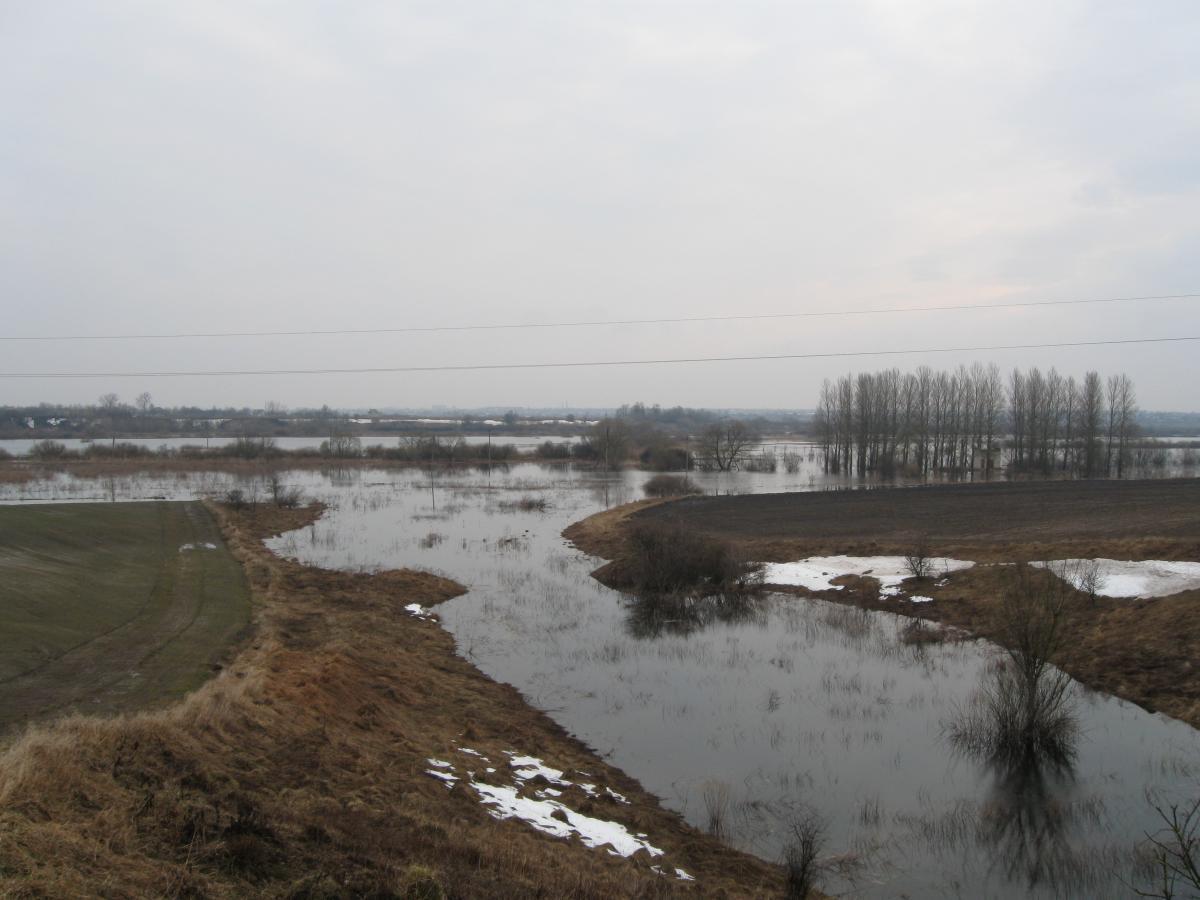 post-6140-0-08567600-1366009593_thumb.jp