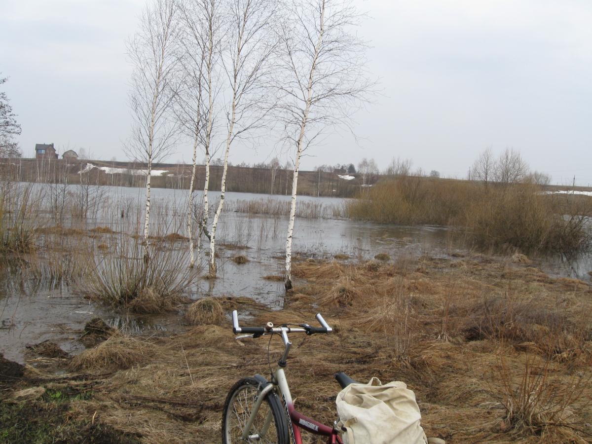 post-6140-0-08729300-1366009687_thumb.jp