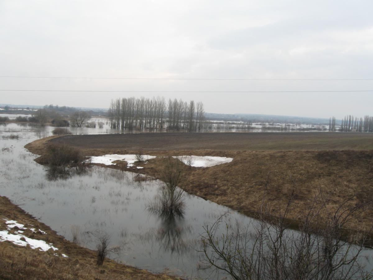 post-6140-0-23268900-1366009618_thumb.jp