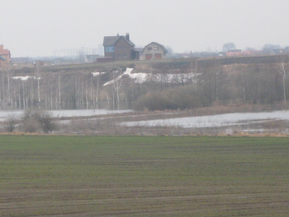 post-6140-0-31273100-1366009652_thumb.jp