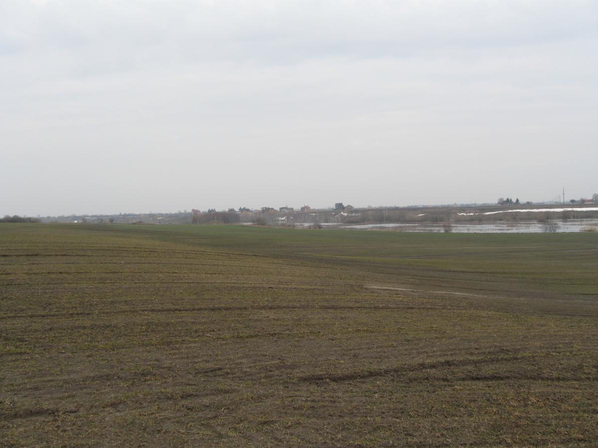 post-6140-0-35116900-1366009641_thumb.jp