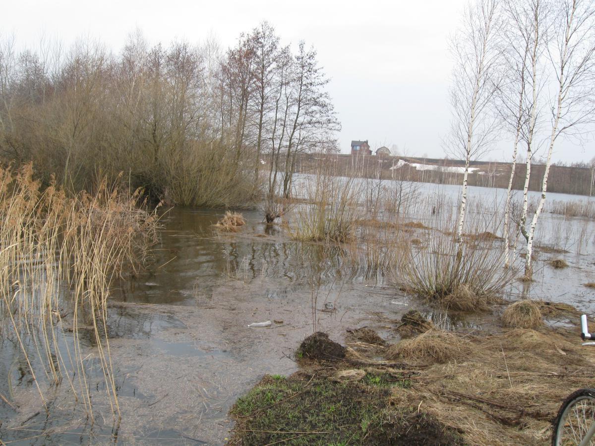 post-6140-0-36619400-1366009678_thumb.jp