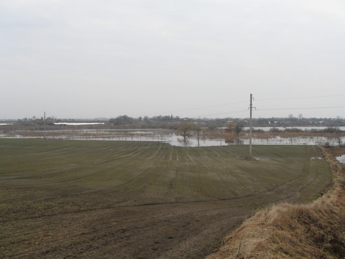 post-6140-0-49265300-1366009544_thumb.jp