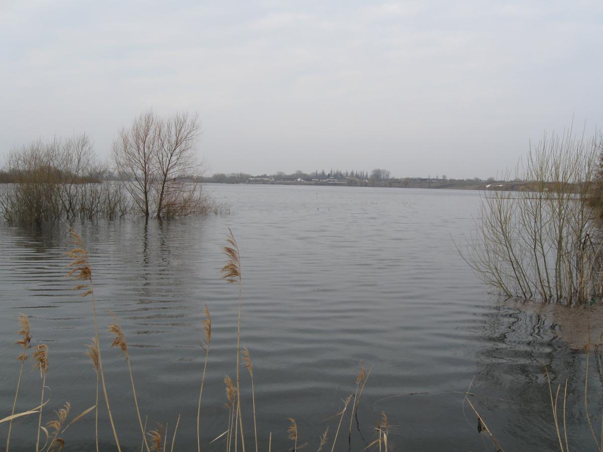 post-6140-0-51830700-1366009666_thumb.jp