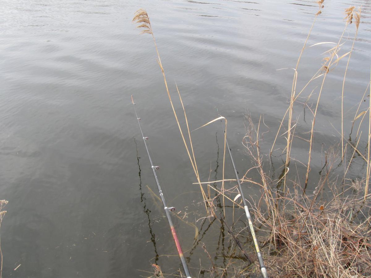 post-6140-0-54226700-1366009659_thumb.jp