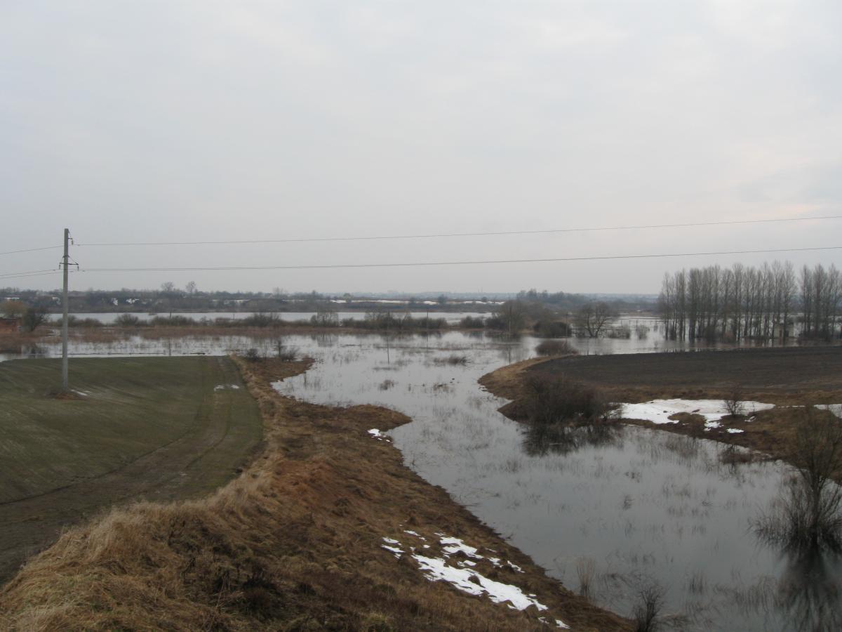 post-6140-0-56435800-1366009630_thumb.jp