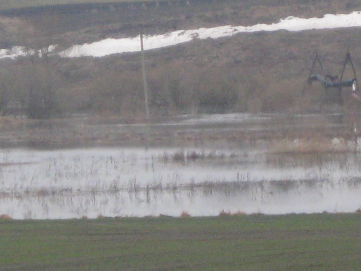 post-6140-0-59409100-1366009522_thumb.jp