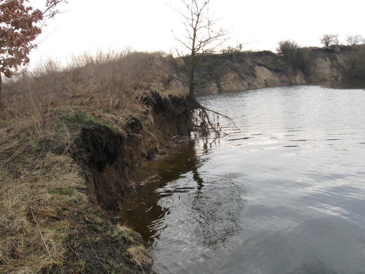 post-6140-0-79409600-1366009712_thumb.jp