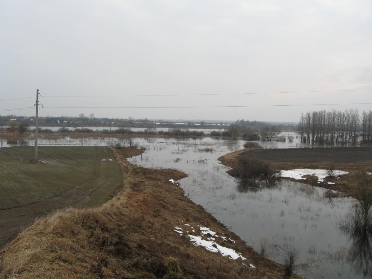 post-6140-0-83080900-1366009582_thumb.jp