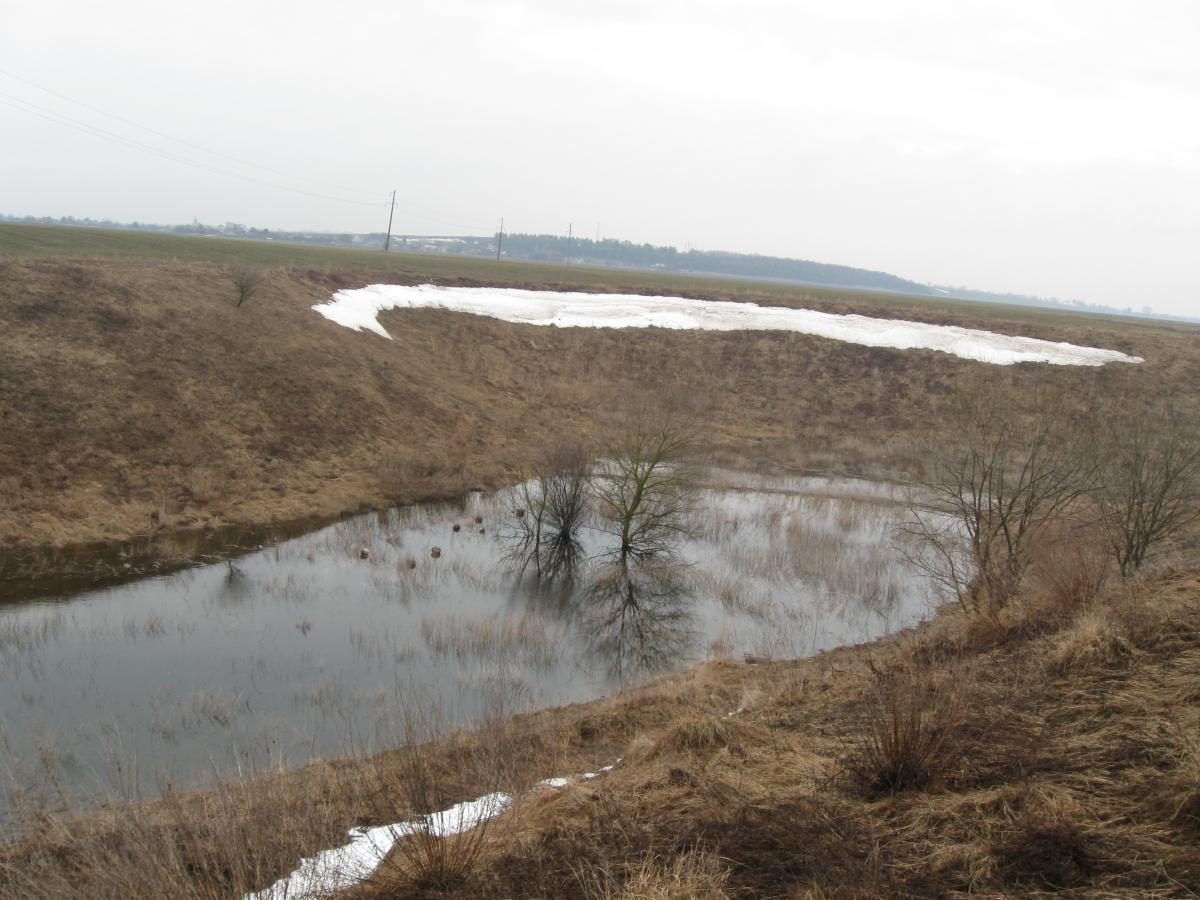 post-6140-0-94009100-1366009603_thumb.jp