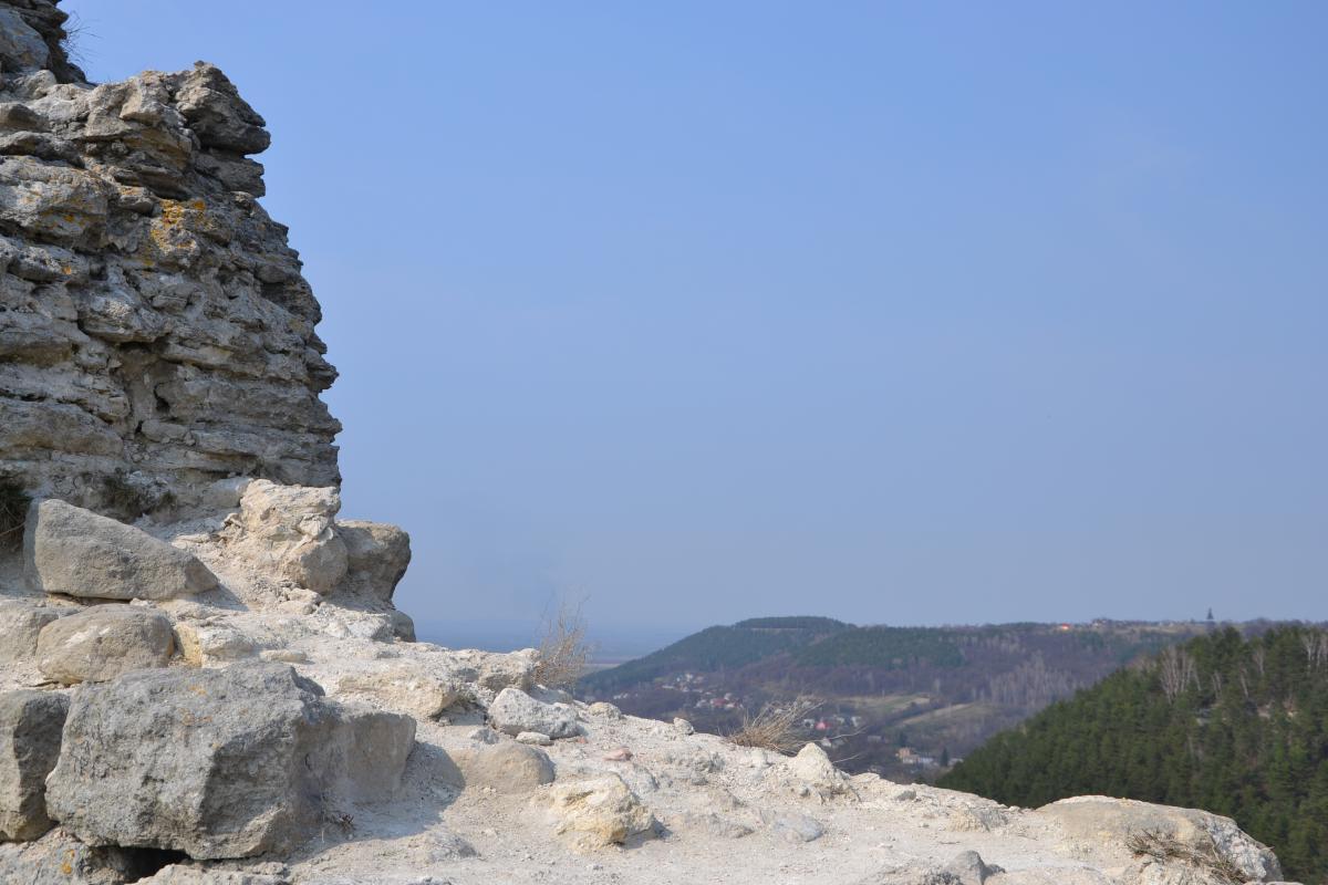 post-6229-0-80079500-1367170854_thumb.jp