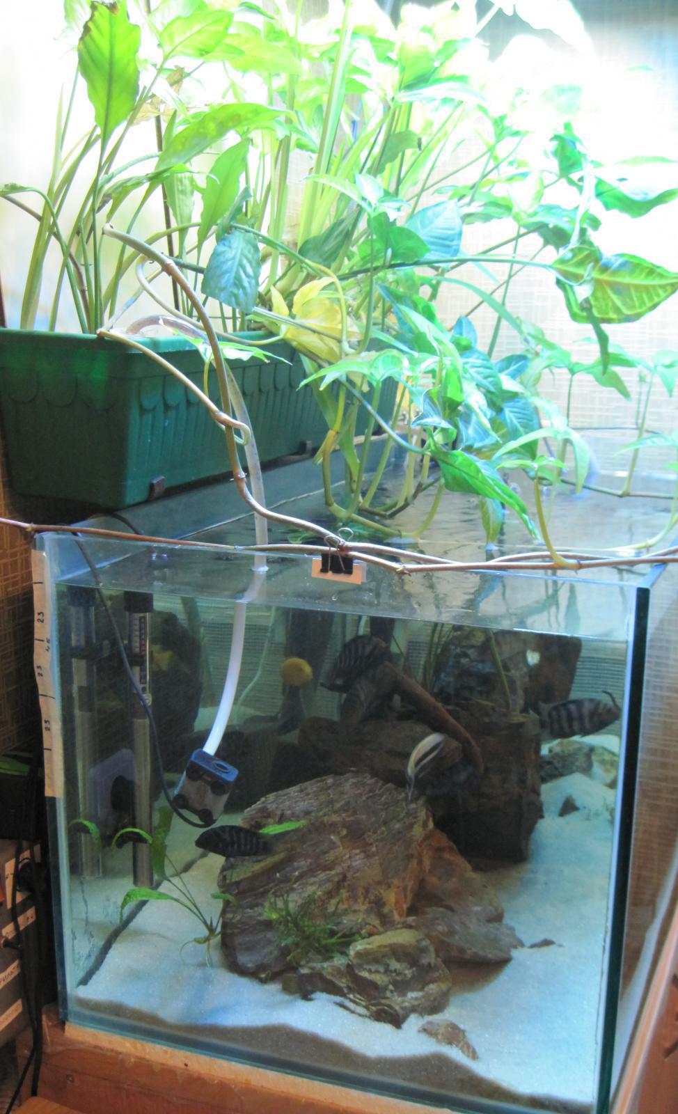 post-6438-0-02918300-1365355569_thumb.jp