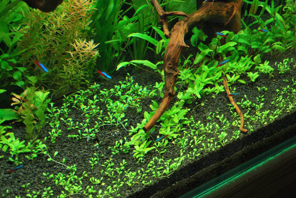 post-6438-0-04627000-1365356933_thumb.jp