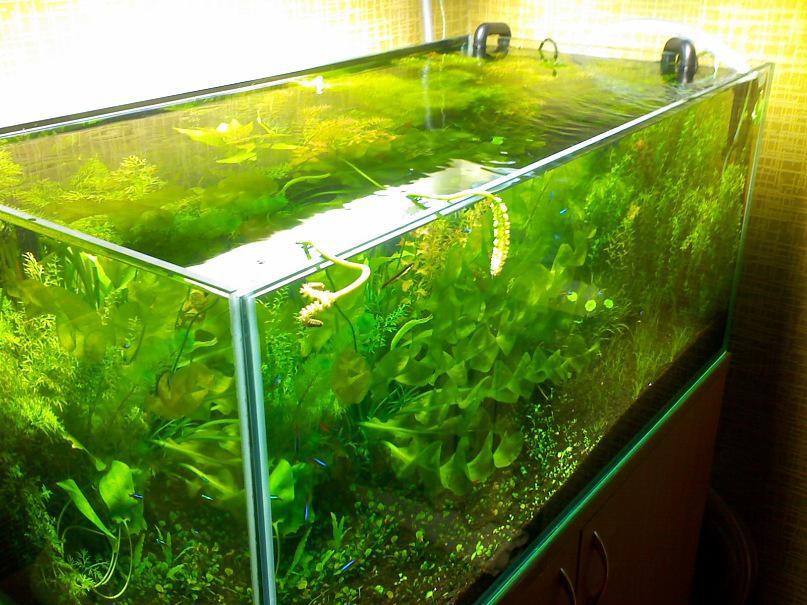 post-6438-0-31762000-1365355781_thumb.jp