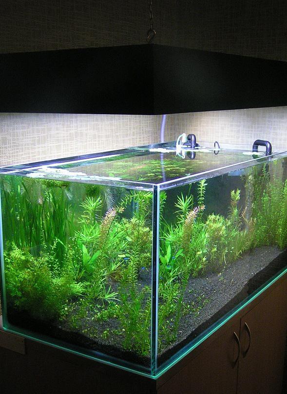 post-6438-0-54204200-1365355780_thumb.jp