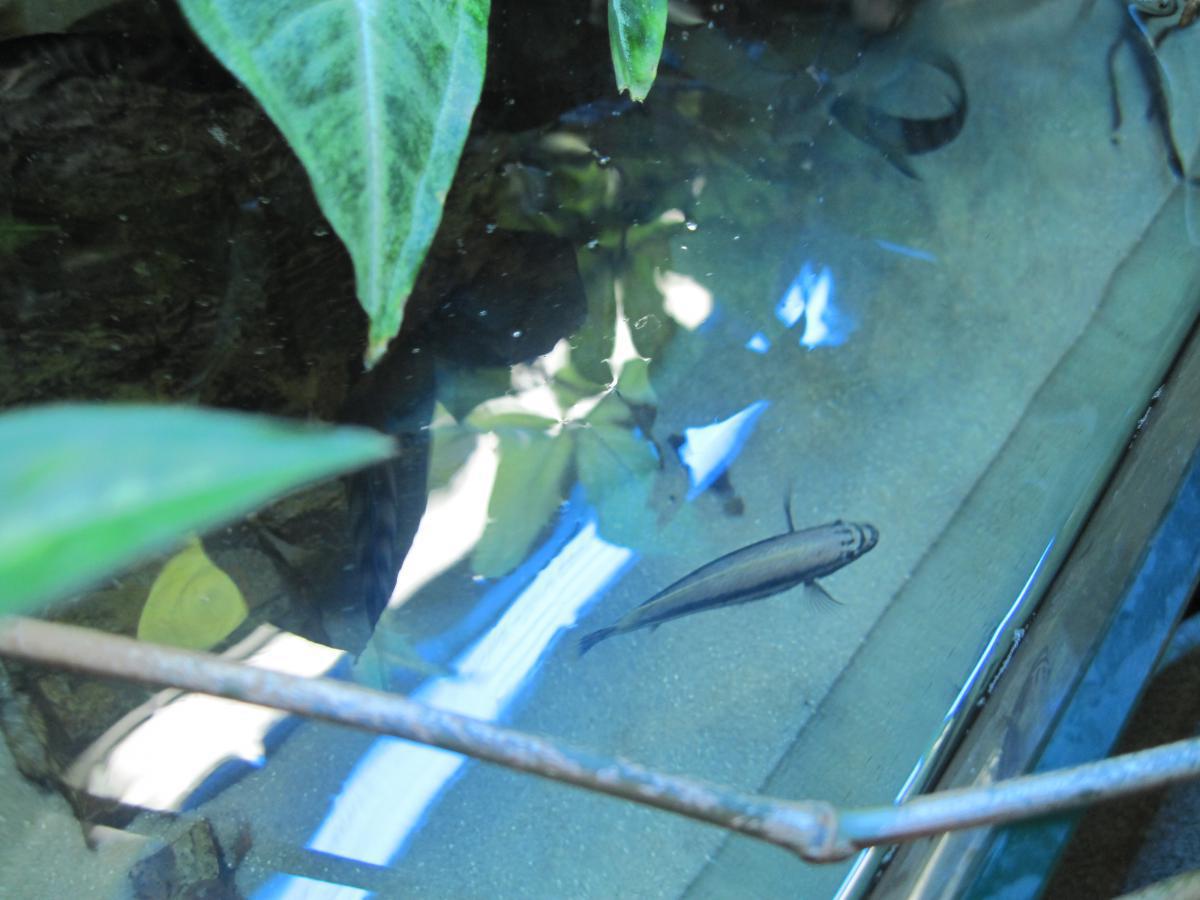 post-6438-0-76561200-1365355565_thumb.jp