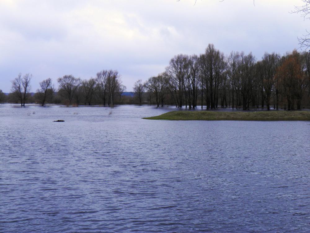 post-6593-0-13247700-1366015051_thumb.jp