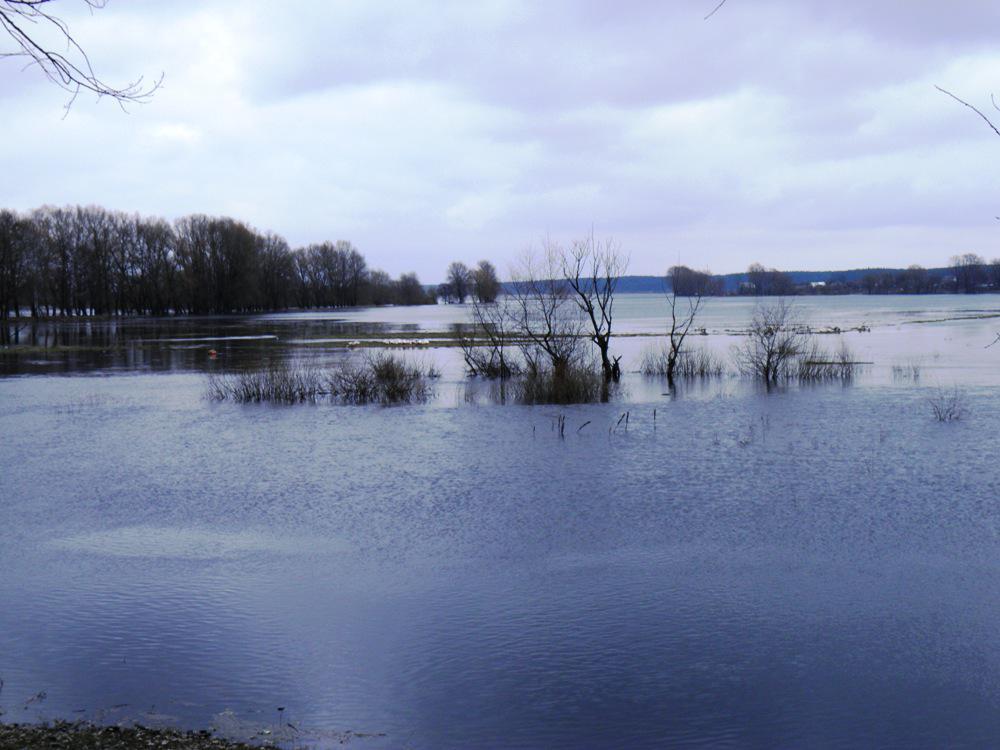 post-6593-0-14309000-1366015094_thumb.jp