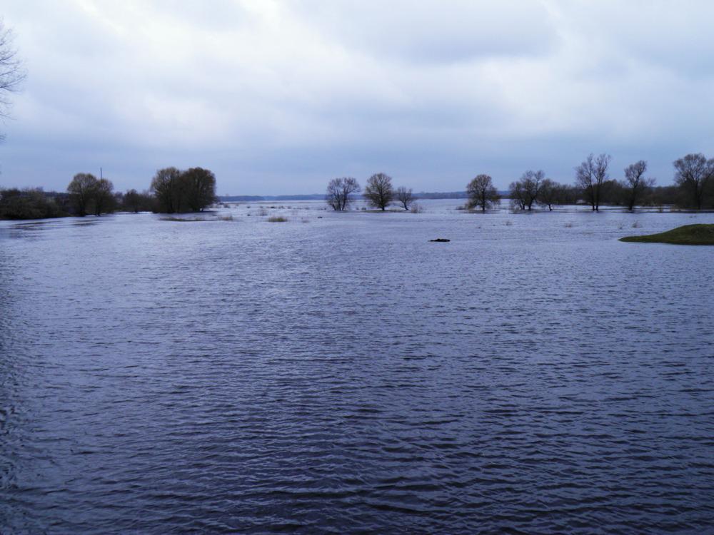 post-6593-0-20817300-1366015078_thumb.jp