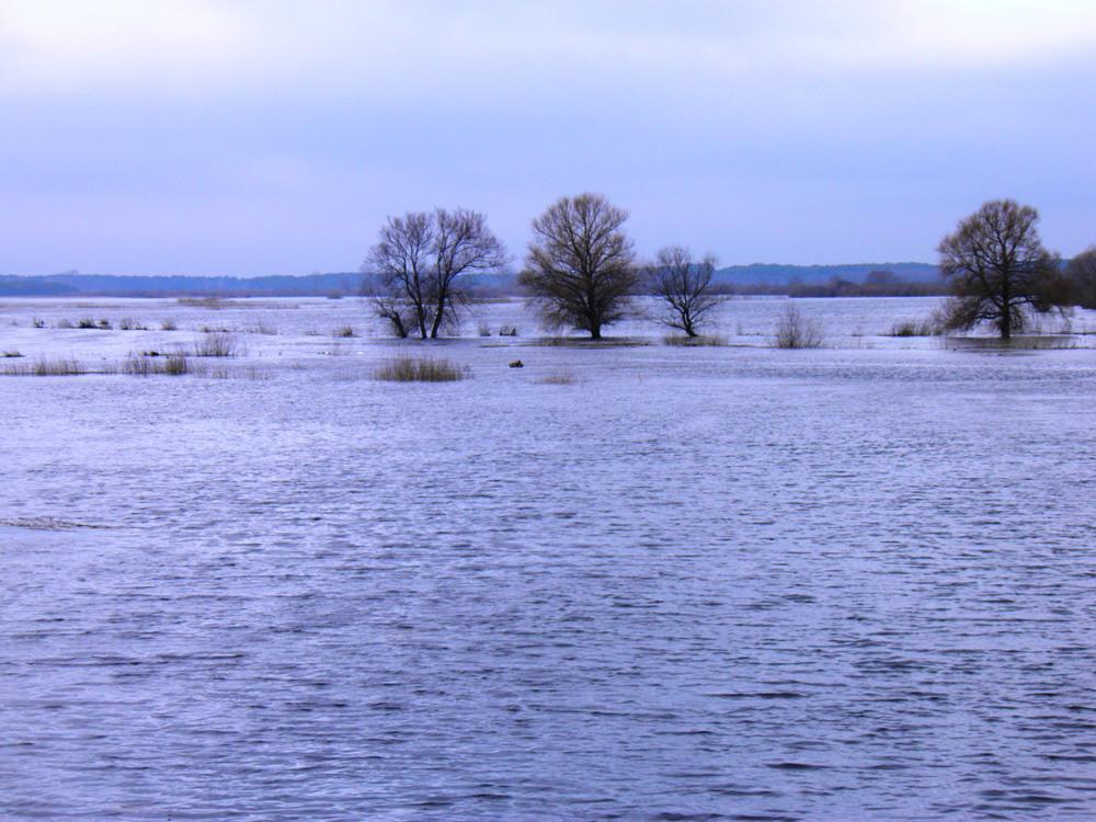 post-6593-0-33134200-1366015061_thumb.jp