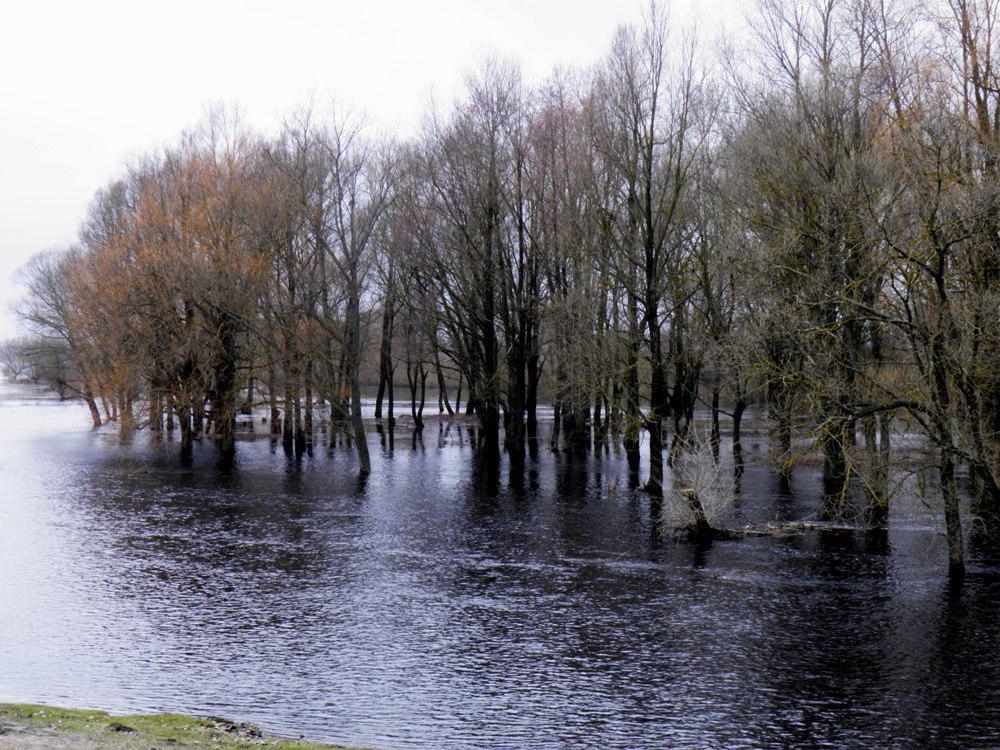 post-6593-0-38349800-1366015232_thumb.jp