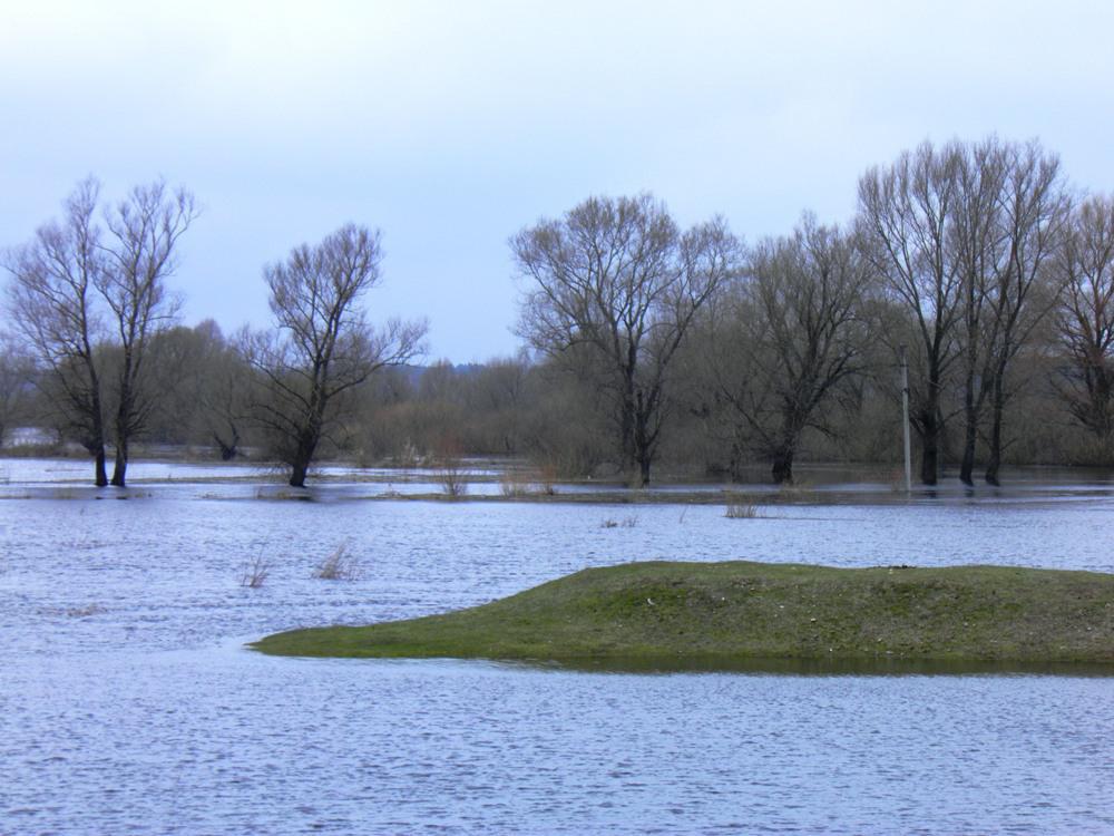 post-6593-0-73502200-1366015069_thumb.jp